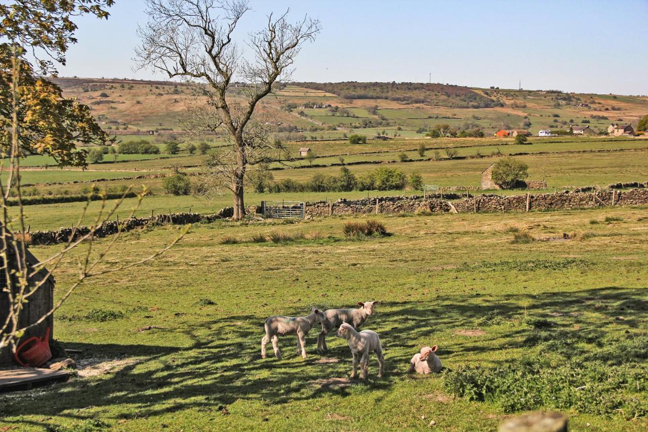 Moorland View Farm B&B Oakamoor Екстериор снимка